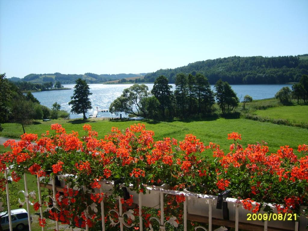 um ramo de flores vermelhas numa cerca ao lado de um lago em U Daszków em Zawory