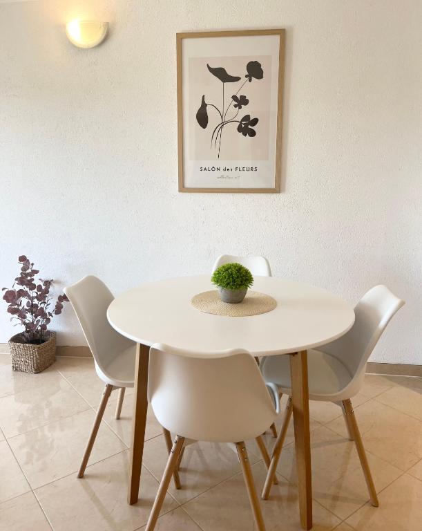 Fotografie z fotogalerie ubytování Apartments Contessa v destinaci Novigrad – Istrie