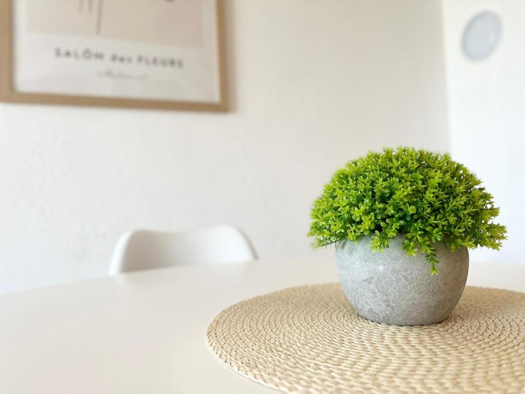 Fotografie z fotogalerie ubytování Apartments Contessa v destinaci Novigrad – Istrie
