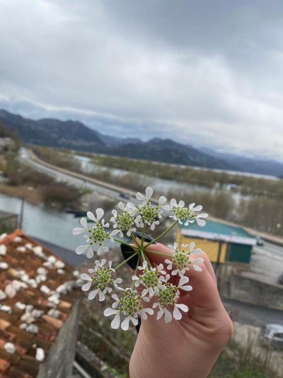 Φυσικό τοπίο κοντά σε αυτό το διαμέρισμα
