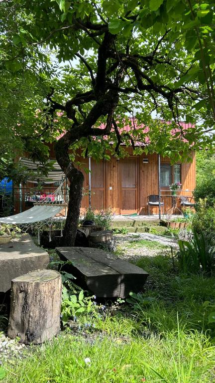 Zahrada ubytování Ludwig Guesthouse