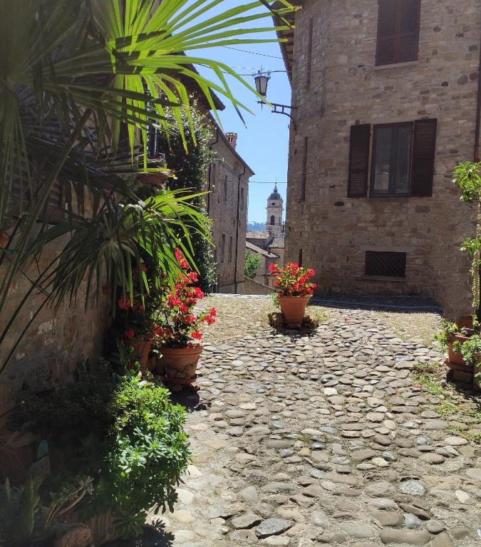 a stone walkway with potted plants and a building at Palazzo Mane in CastellʼArquato