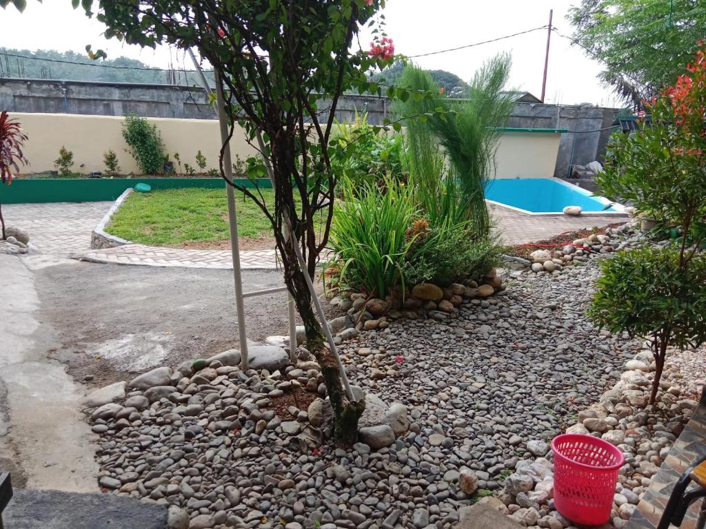 Gallery image of Remiracle Tour And Tracking in Bukit Lawang