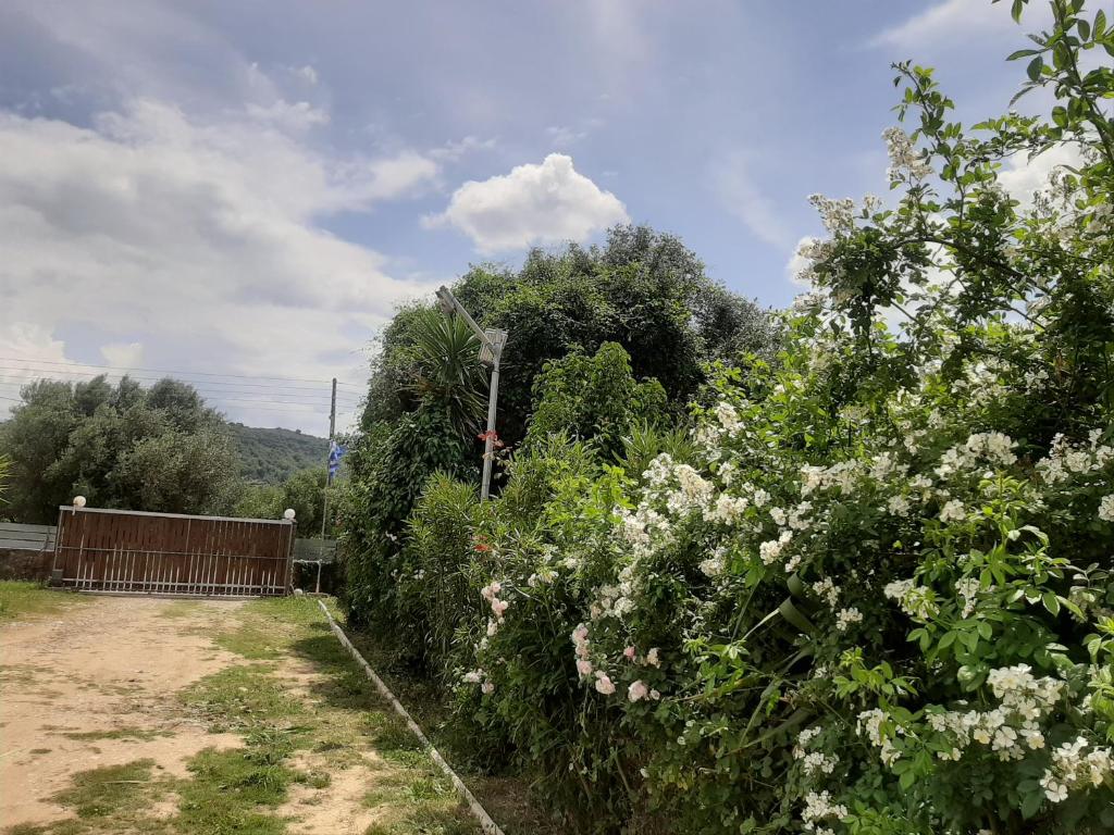 Táj a villa közelében