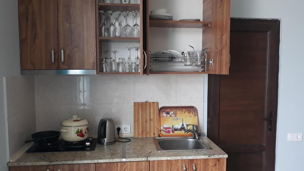 Kuchyň nebo kuchyňský kout v ubytování Hotel Marinus