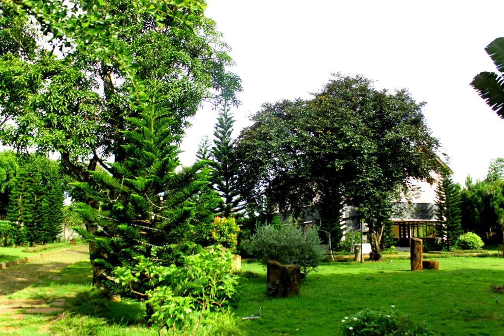 Zahrada ubytování Trung Nguyên Coffee Resort