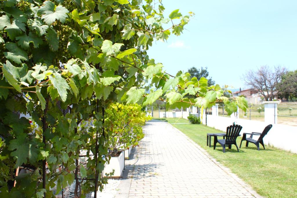 Giardino di Binja Fortuna