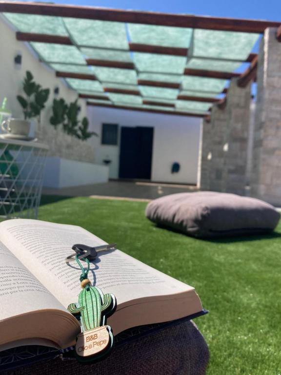 a book with a key on it sitting on the grass at Dimora Olio & Pepe in Trani