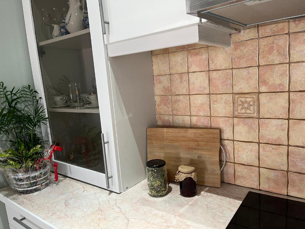 Kuchyň nebo kuchyňský kout v ubytování Maisonette Ralia