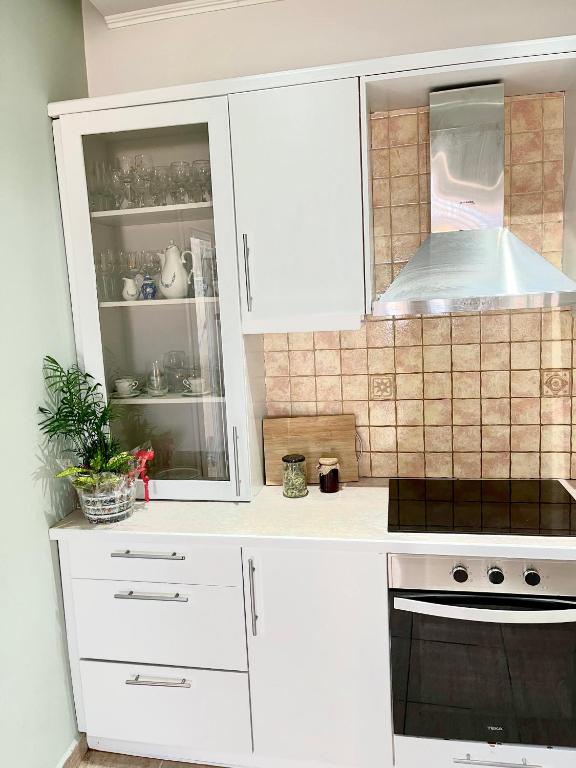 Kuchyň nebo kuchyňský kout v ubytování Maisonette Ralia