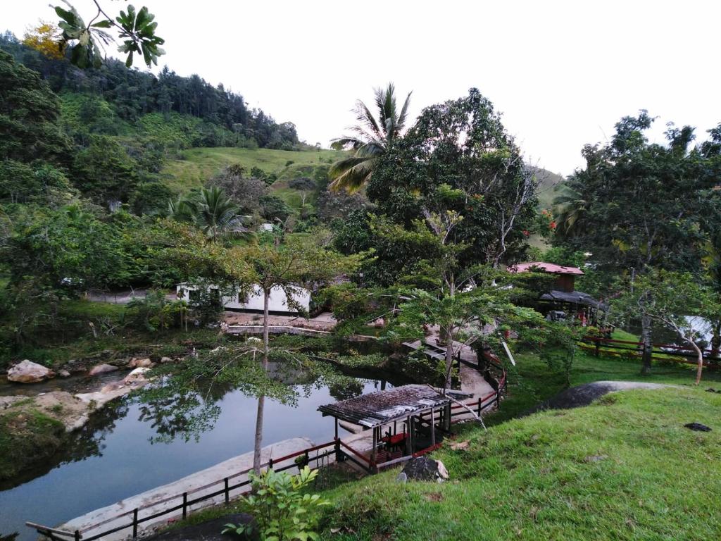 vistas a un estanque con un puente y árboles en Munay Travel camp, en San Carlos