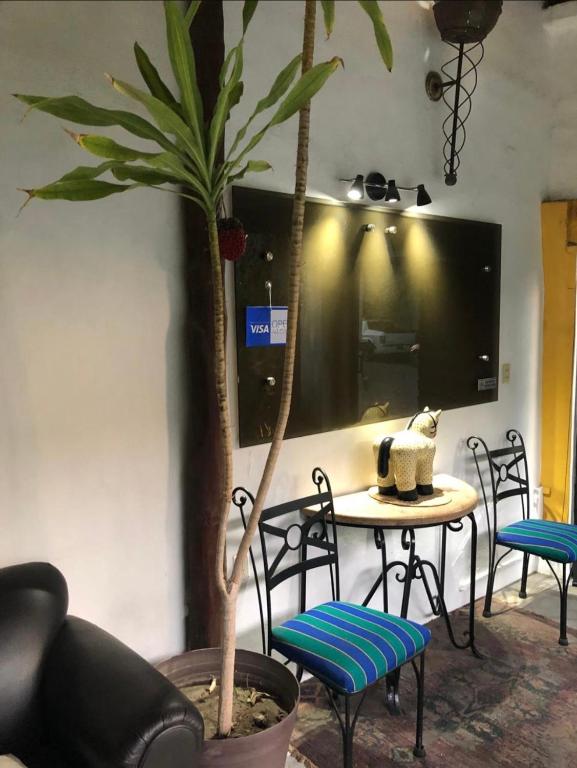 TV a/nebo společenská místnost v ubytování Hotel Boutique Ixaya