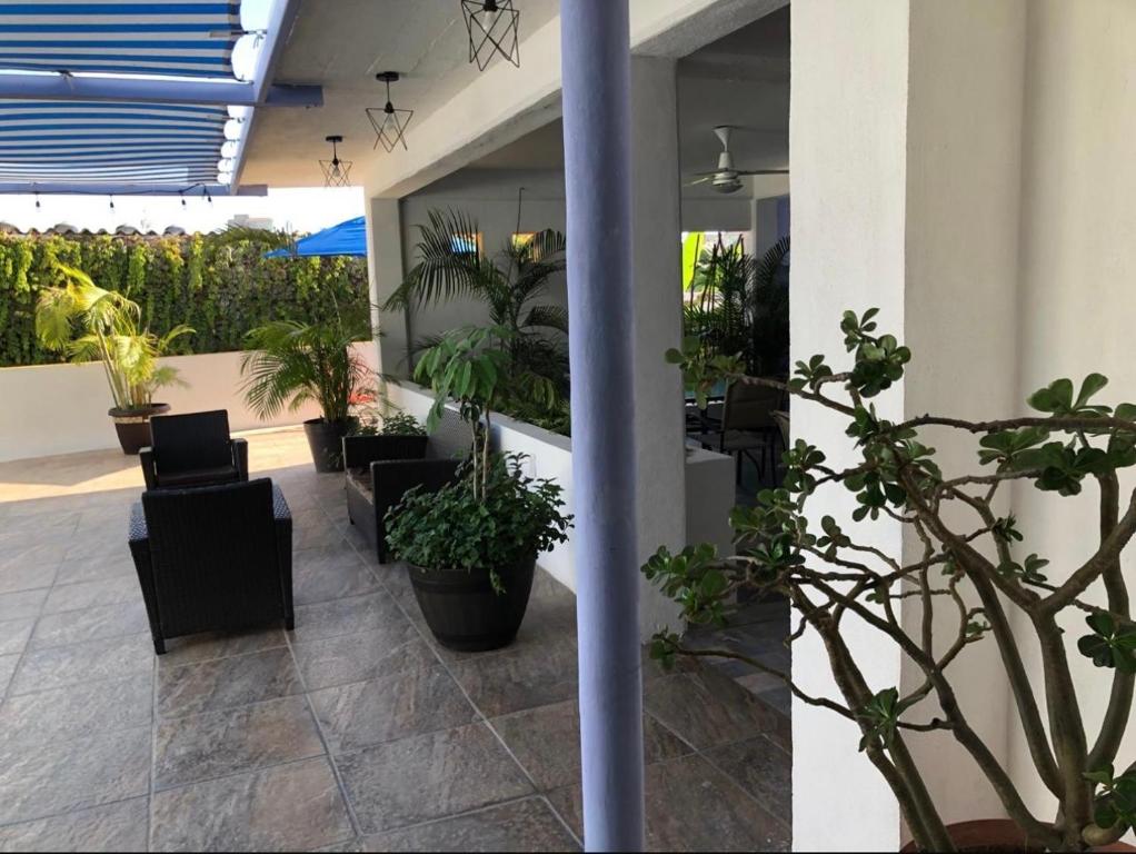 Zahrada ubytování Hotel Boutique Ixaya