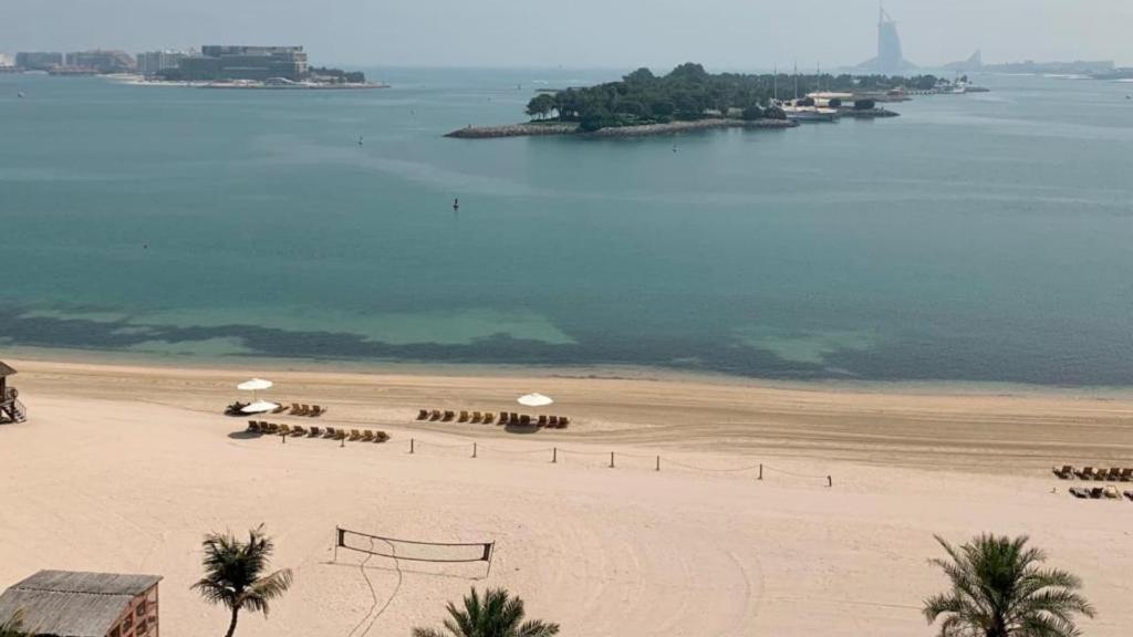 una playa con un grupo de animales tirados en la arena en Al Dabas Beach Views, 3BD Sleeps 6, Beachfront Beach & Pool Access en Dubái