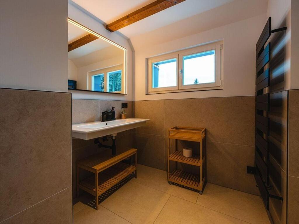 ein Badezimmer mit Waschbecken und Spiegel in der Unterkunft Dream view Comfortable holiday residence in Kurort Bärenburg