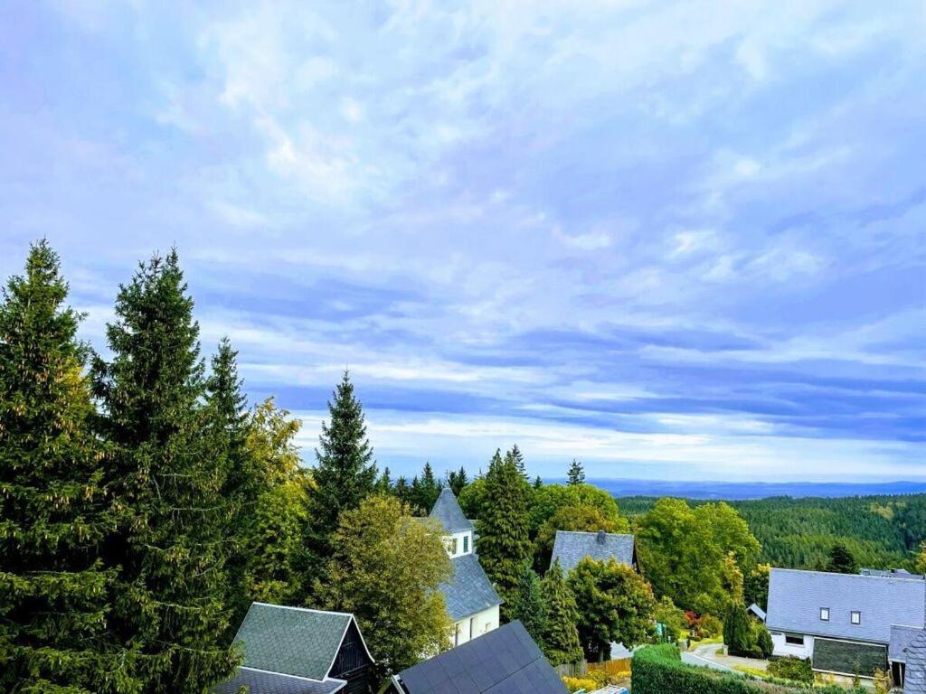 eine Luftansicht eines Hauses mit Bäumen in der Unterkunft Dream view Comfortable holiday residence in Kurort Bärenburg
