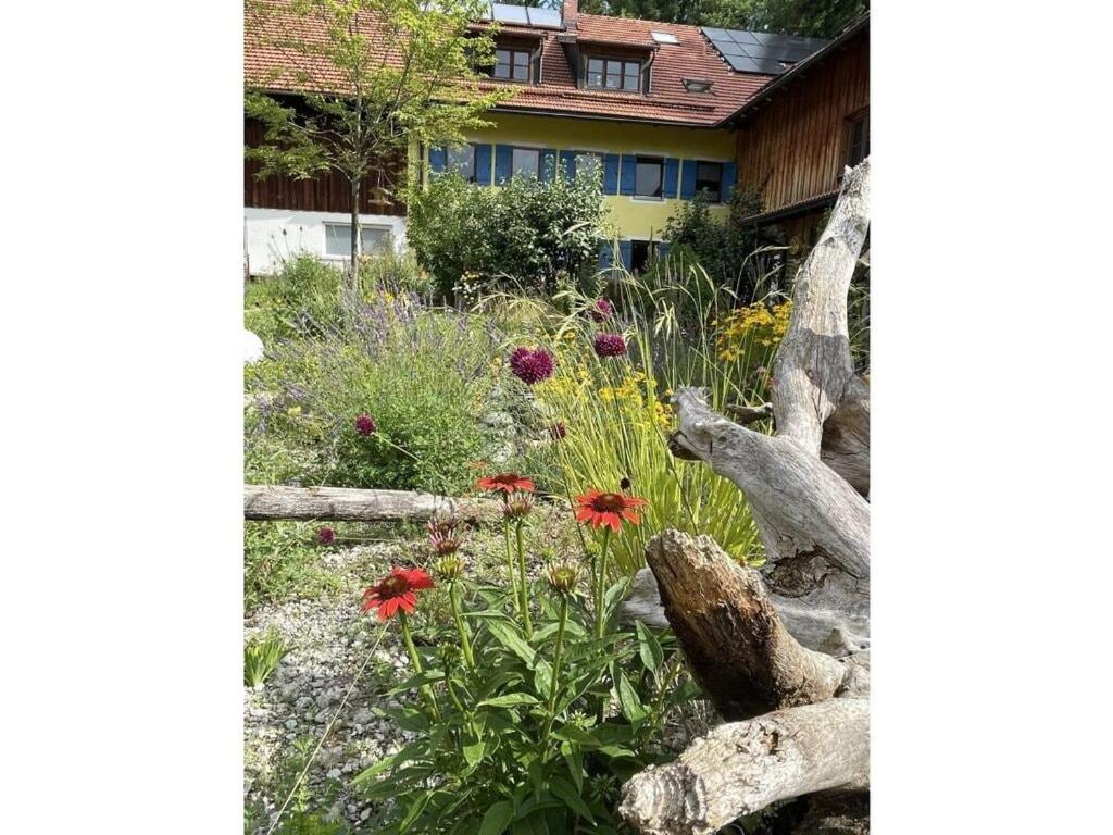 een tuin met bloemen en rotsen voor een huis bij Böllenburg Comfortable holiday residence in Bernbeuren