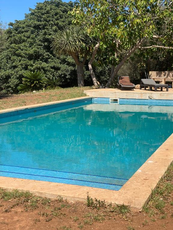 a swimming pool with blue water in a yard at Studio Doppelzimmer 2 Pers mit Terrasse und Pool auf Finca Mallorca in Santanyi