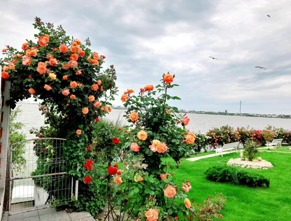 Zahrada ubytování Lake View House