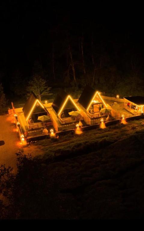 Dreamy life bungalov