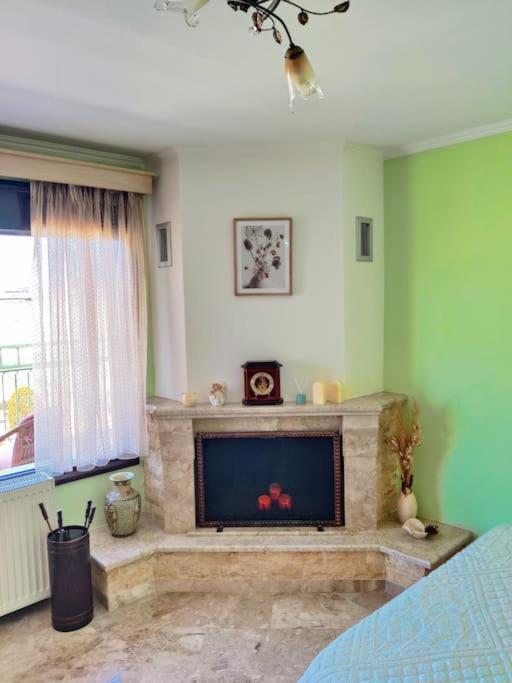 d'un salon avec une cheminée et des murs verts. dans l'établissement Ives Studio Aridaia, à Aridaía