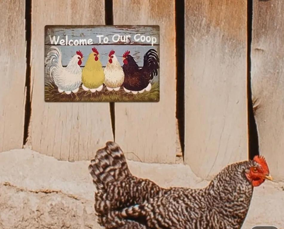 a sign with four chickens in front of a building at The Coop in Kinloch