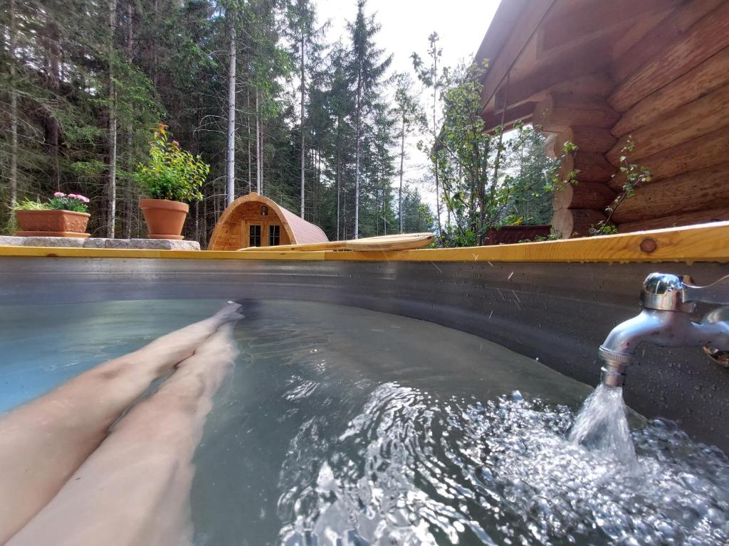 Bassein majutusasutuses Ferienhaus - Chalet - Lechtraum või selle lähedal