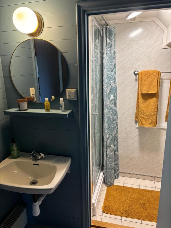W łazience znajduje się umywalka i prysznic. w obiekcie Ladegaarden w mieście Skien