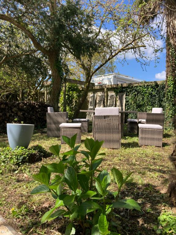 un groupe de chaises et un arbre dans une cour dans l'établissement TY GWEN Appart RDC, à Châteaulin