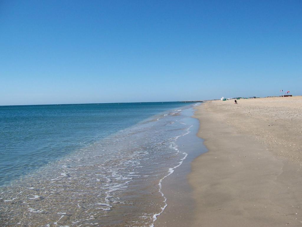 Une plage avec l'océan et les gens qui y vivent dans l'établissement Charmant appartement en centre-ville, à Sète
