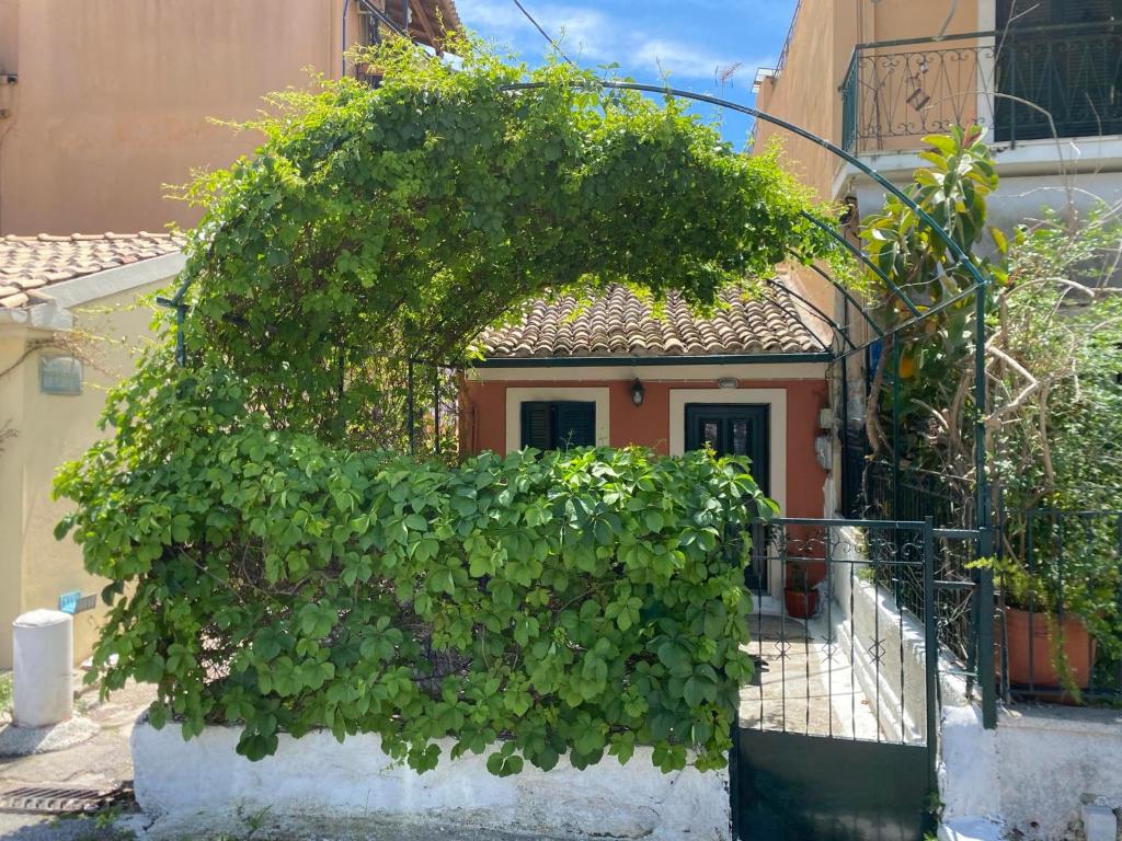 a small house with a large green hedge around it at CASA THEOTOKI in Anemómylos