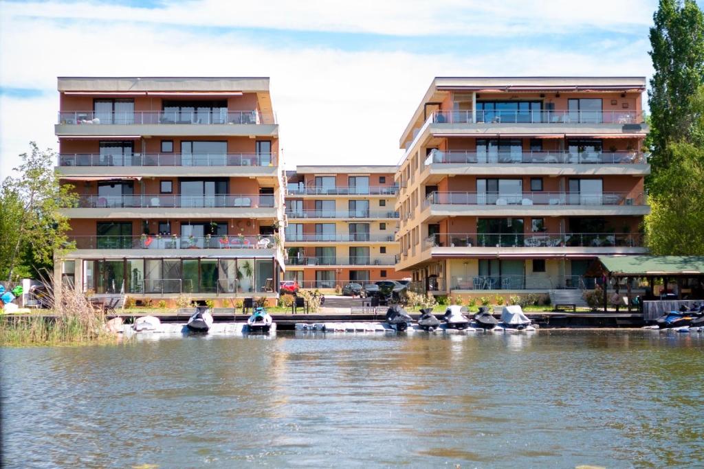 a group of swans on the water in front of buildings at Snagov Lake Apartments - Club Lac Snagov in Turbaţi