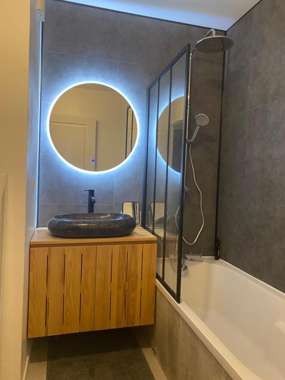 ブルージュにあるAppartement T2 au bord du lacの洗面台、鏡、浴槽のあるバスルーム