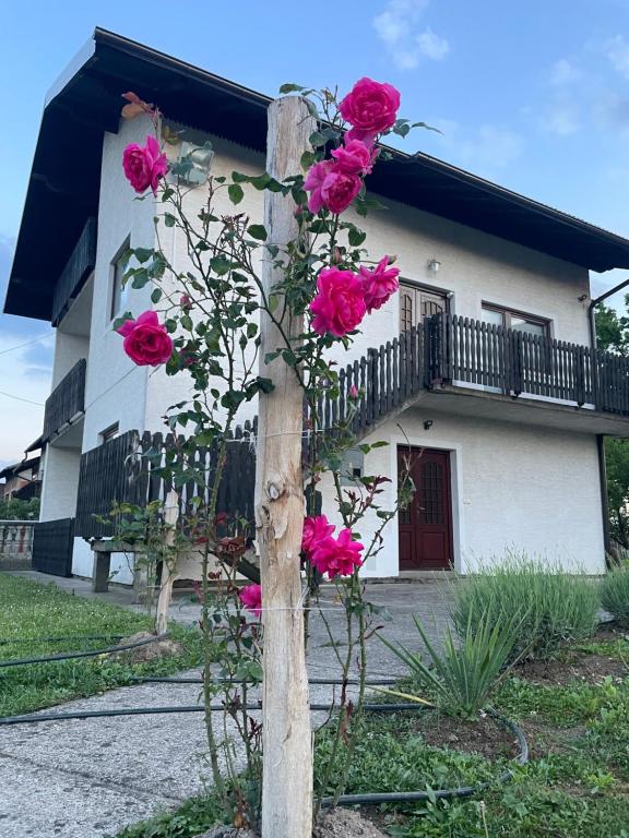 Glamočani的住宿－Bijeli Cvijet，房子前面的花柱