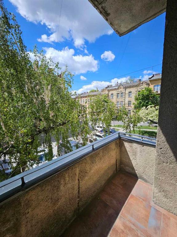 Příroda nedaleko hotelu