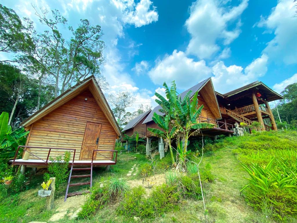 ein Haus mit einer Leiter davor in der Unterkunft Vườn Hoa Măng Đen Village in Kon Plong
