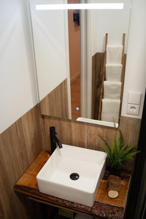 Fotografie z fotogalerie ubytování Hotel Boutique - Estancia dos Olivos v destinaci Quesa