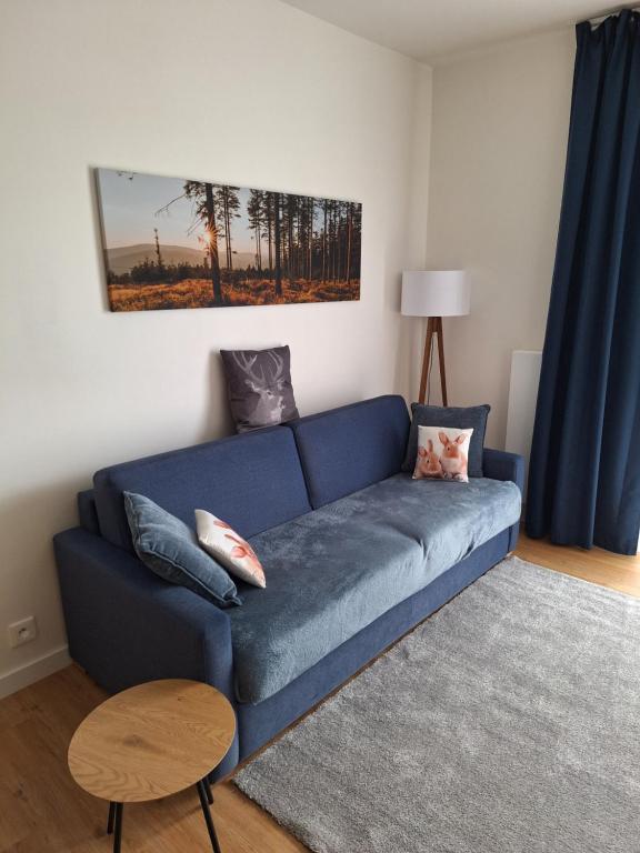 Posezení v ubytování Apartmán v Javorné na Šumavě