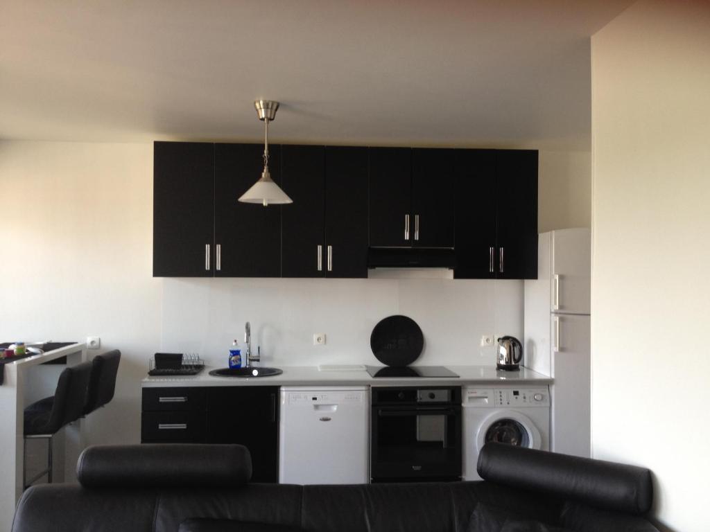 a kitchen with black cabinets and a dishwasher at Schirmeck Apartment in Strasbourg