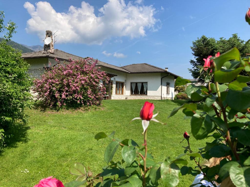 una casa con un fiore rosso di fronte a un cortile di Paradiso sul lago a Calceranica al Lago