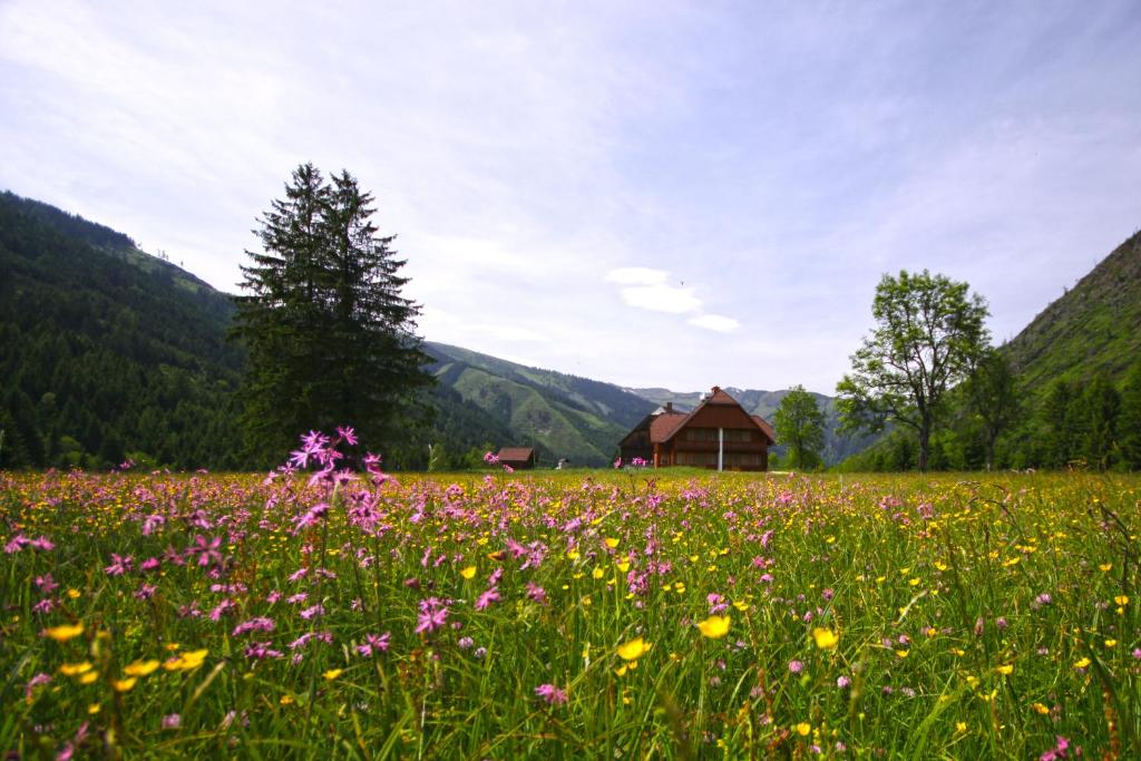 Gallery image of Appartements Zettler in Donnersbachwald