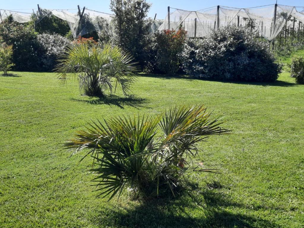Giardino di Petit coin de paradis, calme et confort garantie ! Chambre indépendante dans une dépendance !