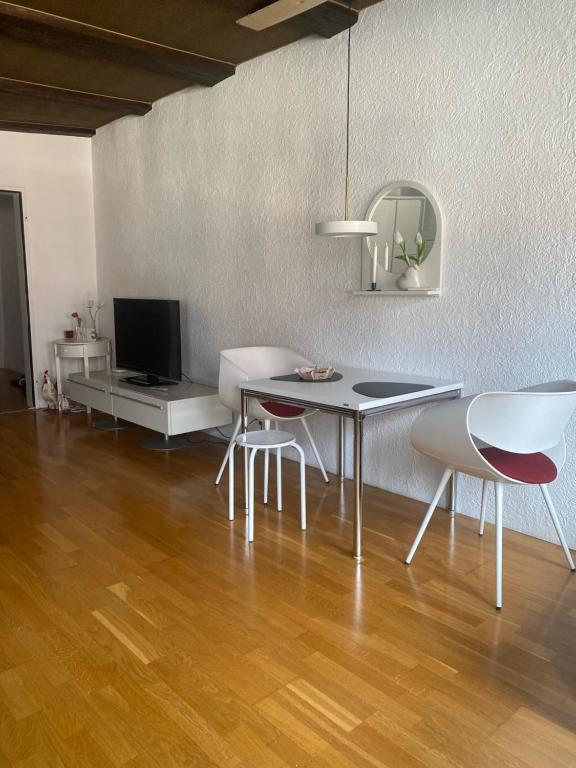 Televiisor ja/või meelelahutuskeskus majutusasutuses Joline private guest apartement Studio 45m2