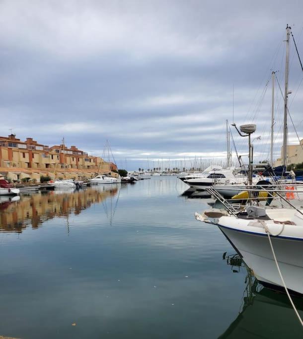un groupe de bateaux est amarré dans un port dans l'établissement Très beau Studio Cosy à 500m de la Plage, à Gruissan