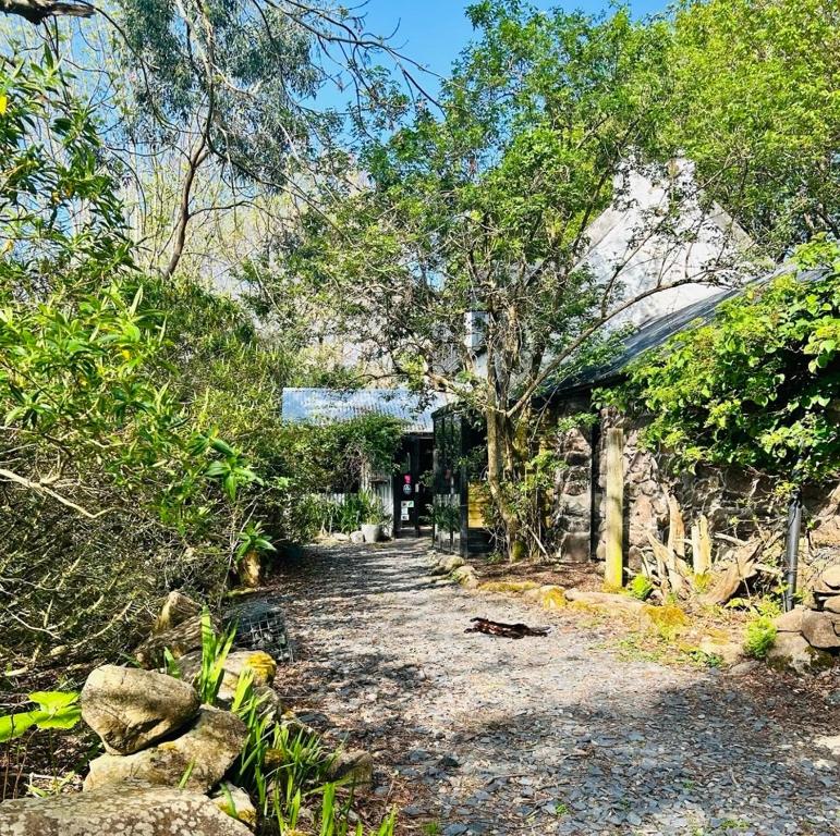 a stone path leading to a house with trees at The Peatcutter's Croft, Badralloch in Dundonnell