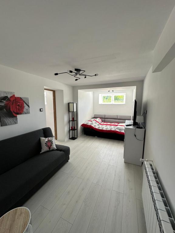 uma sala de estar com um sofá e uma cama em Apartament u Majki em Bystra
