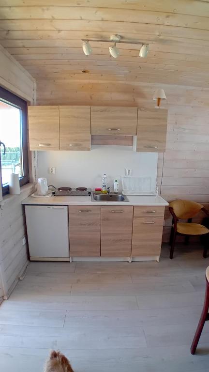 a kitchen with wooden cabinets and a sink in a room at Zacisze in Sarbinowo