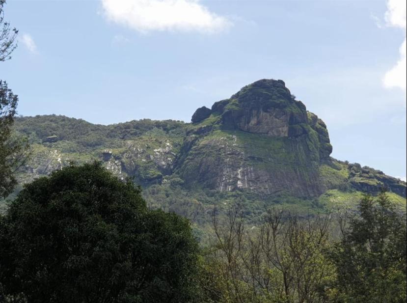 a large mountain with trees in front of it at The Sattva Nature Retreat in Avathi