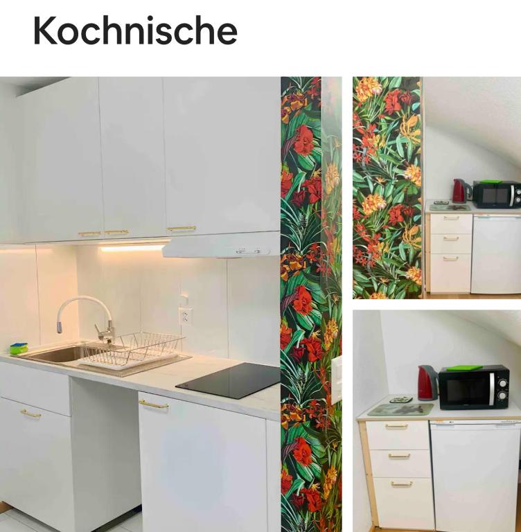 a kitchen with white cabinets and a tropical wallpaper at 25m2 Studio with Kitchen in Zürich in Zurich
