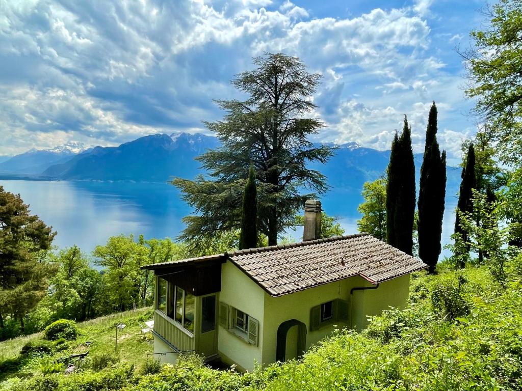 a house on a hill with a view of a lake at Lovely villa in Lavaux with unique view ! in Chardonne